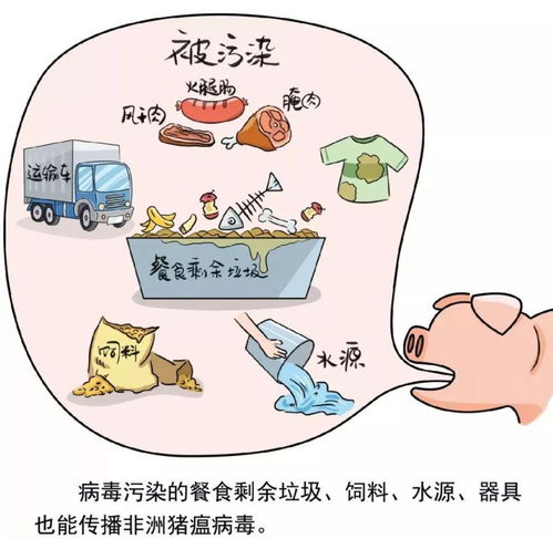 致全市餐飲服務(wù)單位防控非洲豬瘟的一封信